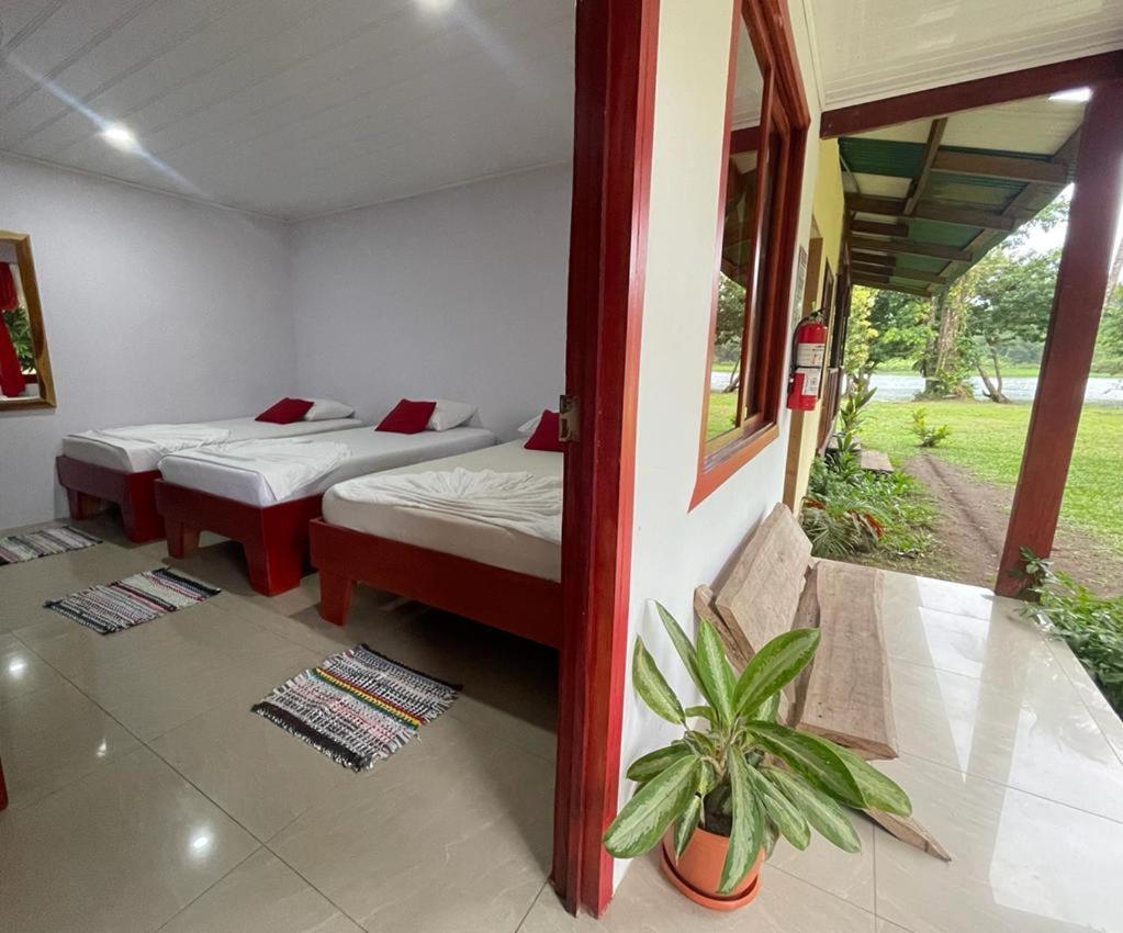 Cabanas Daneysha Tortuguero Exterior foto