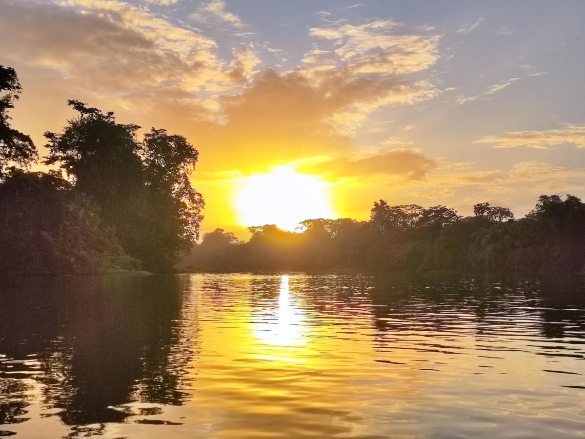 Cabanas Daneysha Tortuguero Exterior foto